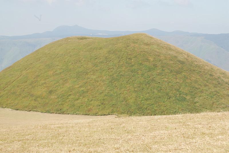 DSC_8563.jpg