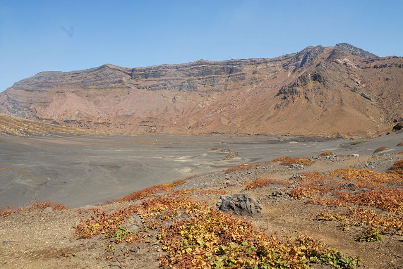 DSC_8647.jpg