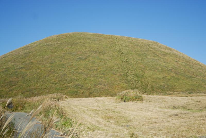 DSC_8657.jpg