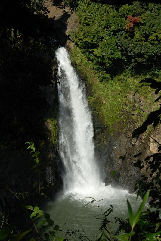 DSC_8659.jpg