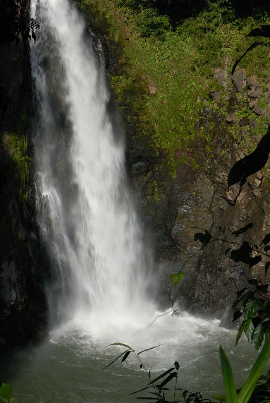 DSC_8661.jpg