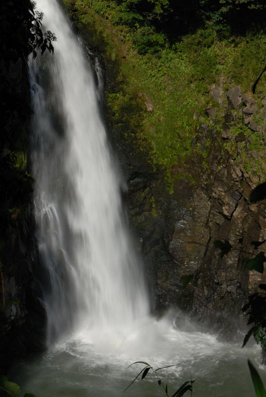 DSC_8664.jpg