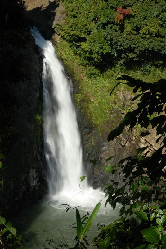 DSC_8665.jpg