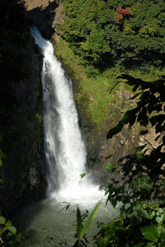 DSC_8666.jpg