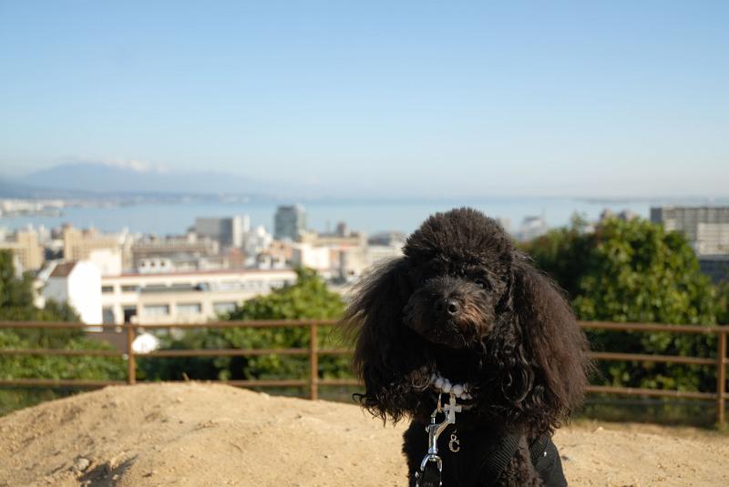 DSC_8710.jpg