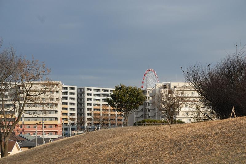 DSC_9959.jpg