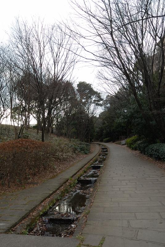 DSC_9961.jpg