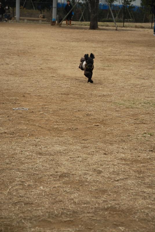 DSC_0001.jpg