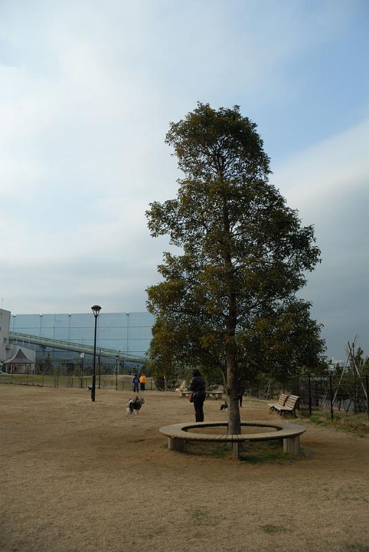 DSC_0012.jpg