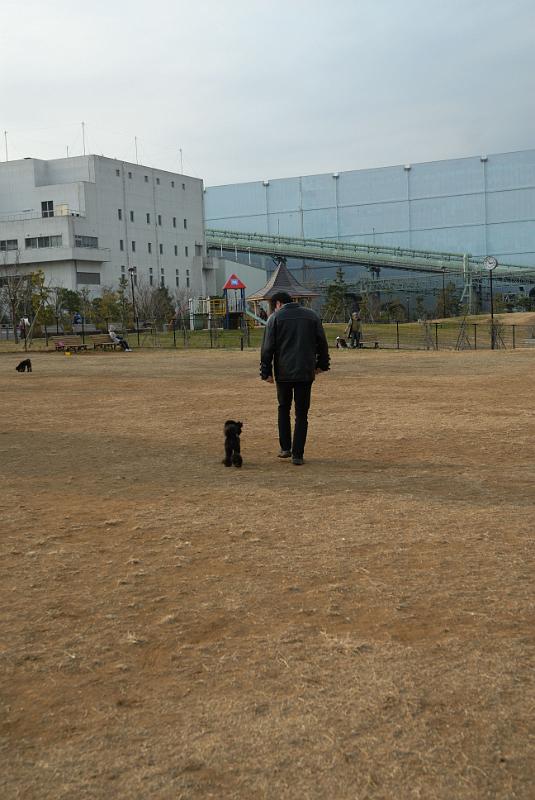 DSC_0014.jpg