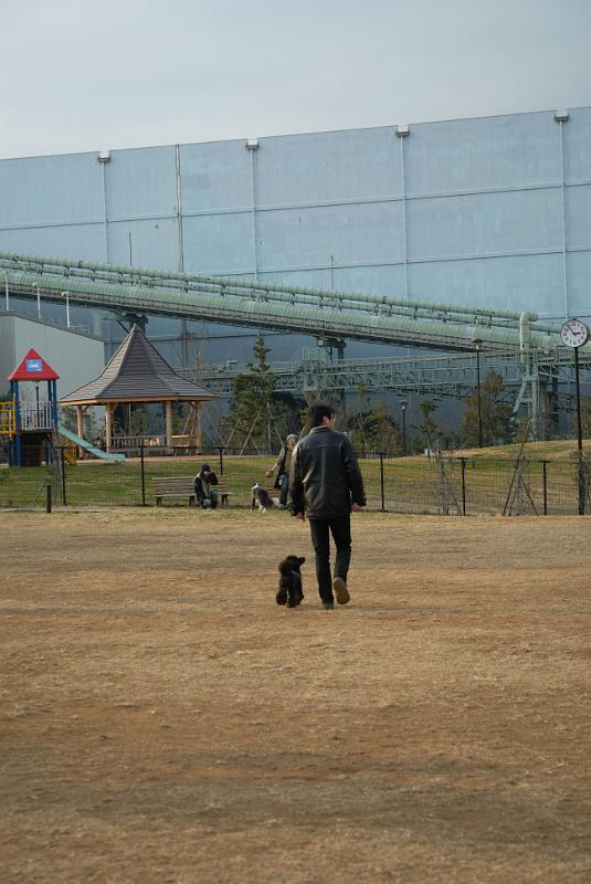 DSC_0015.jpg