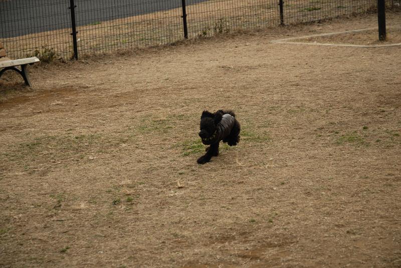 DSC_9989.jpg
