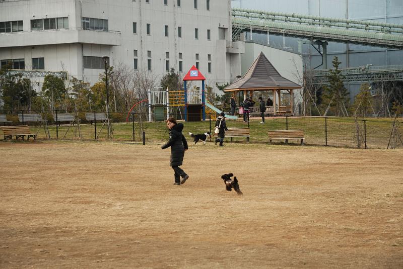 DSC_9992.jpg