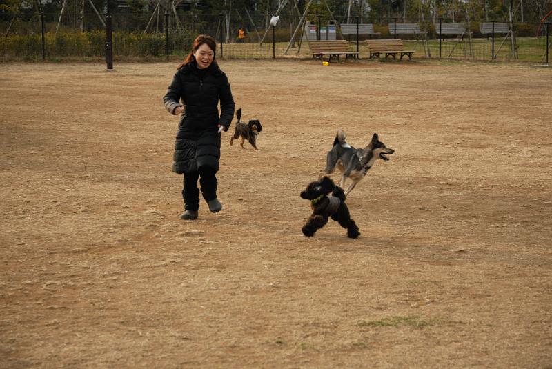 DSC_9993.jpg