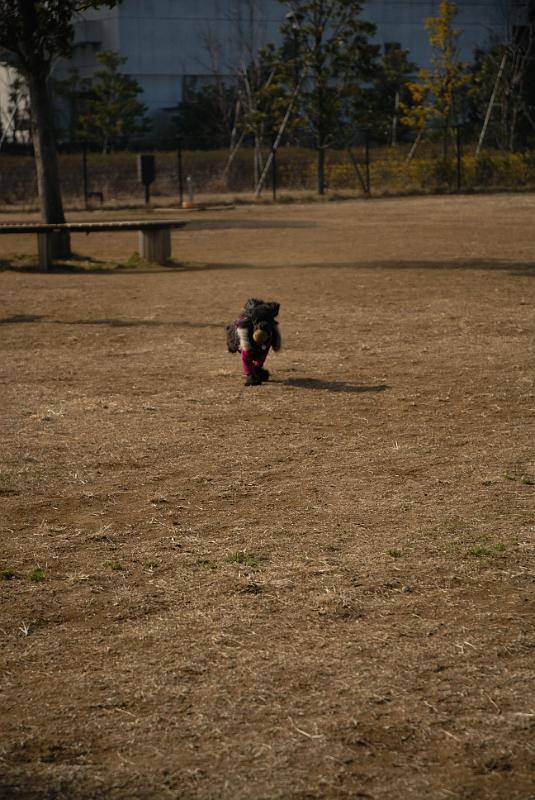 DSC_0416.jpg