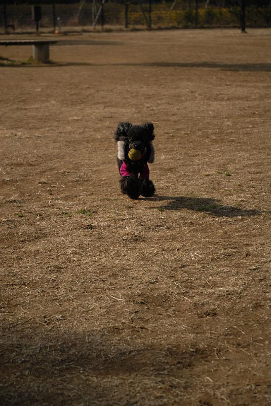 DSC_0417.jpg