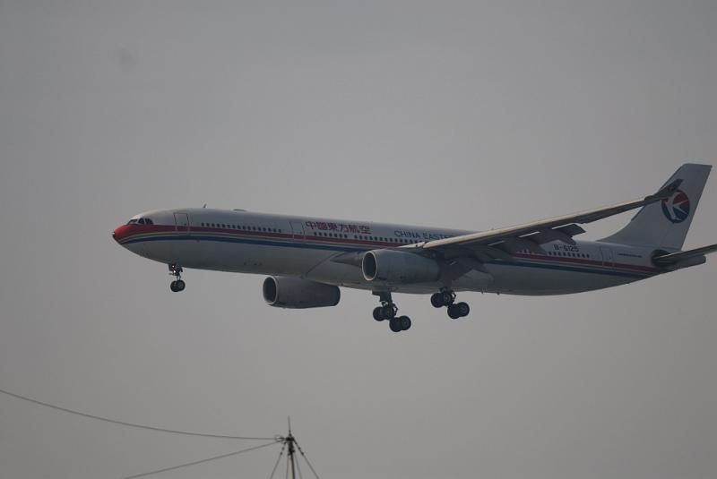 DSC_0462.jpg