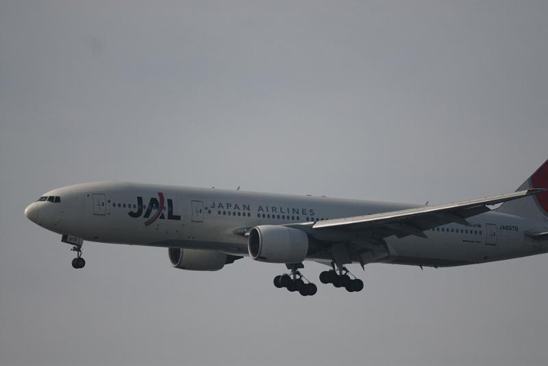 DSC_0465.jpg