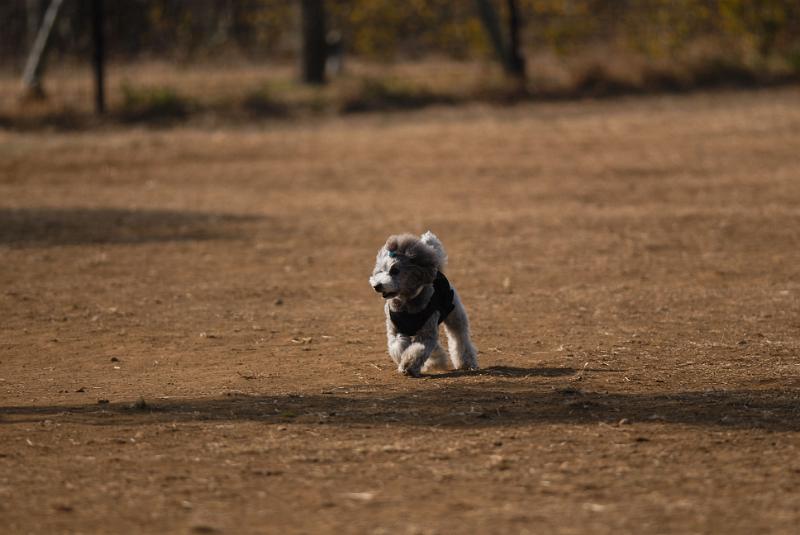 DSC_0475.jpg