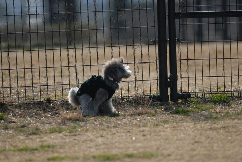 DSC_0503.jpg
