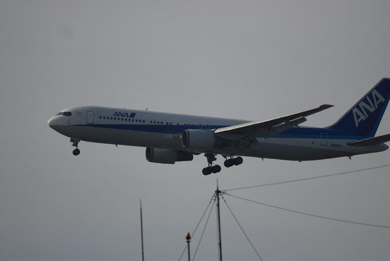 DSC_0505.jpg
