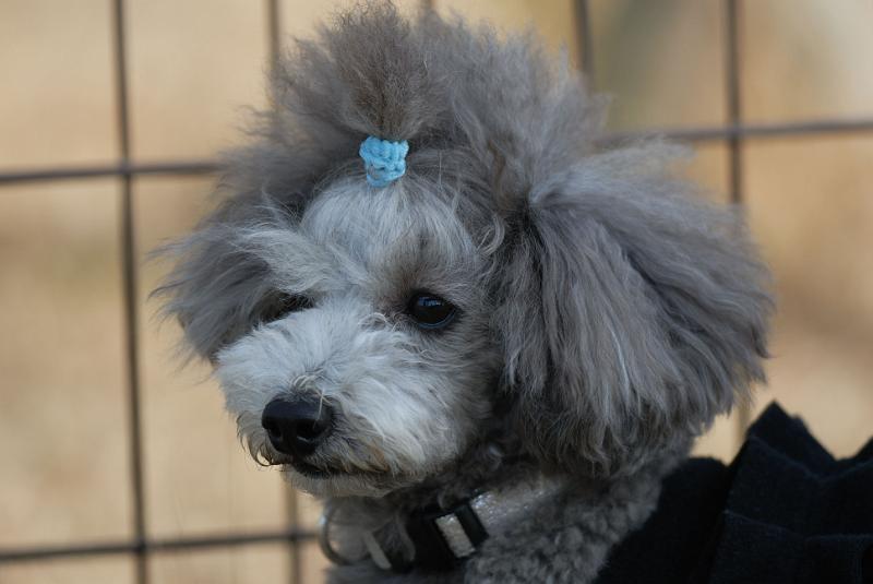DSC_0595.jpg