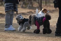 さすけ君とネロ3