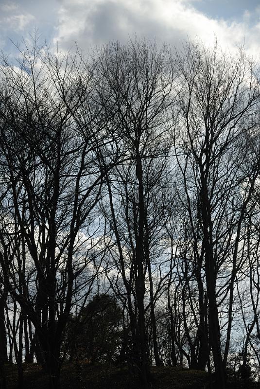 DSC_0629.jpg