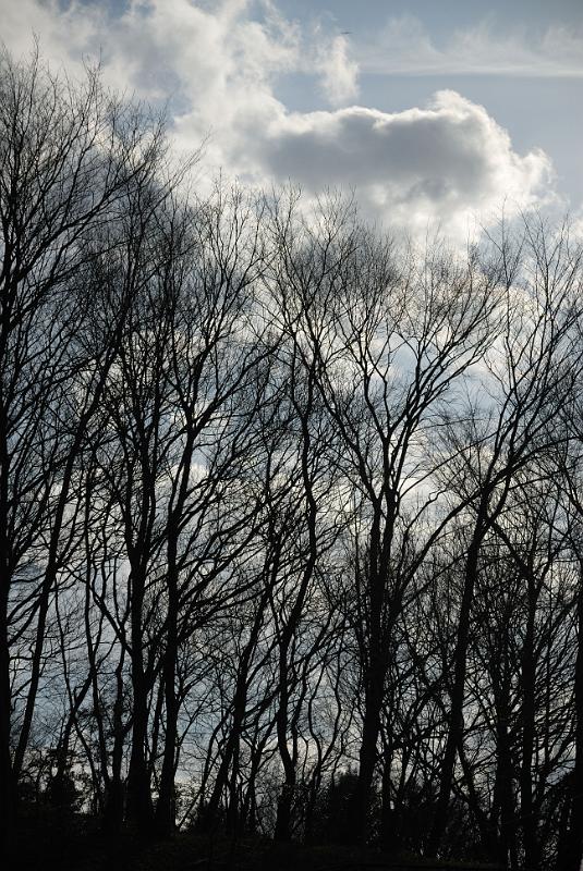 DSC_0630.jpg