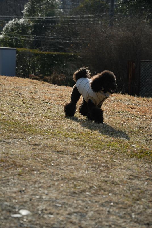 DSC_0631.jpg