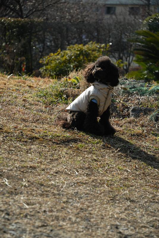 DSC_0634.jpg