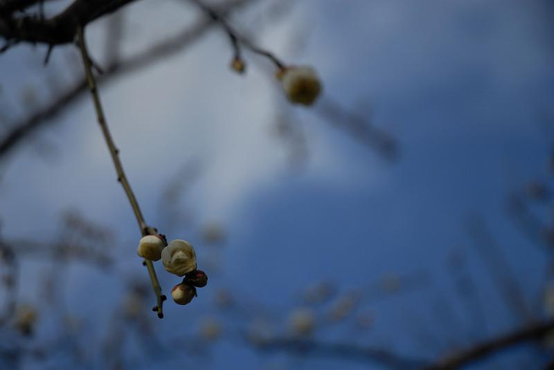 DSC_0680.jpg