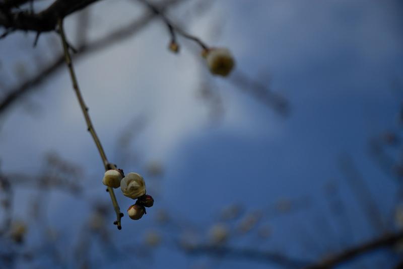 DSC_0682.jpg