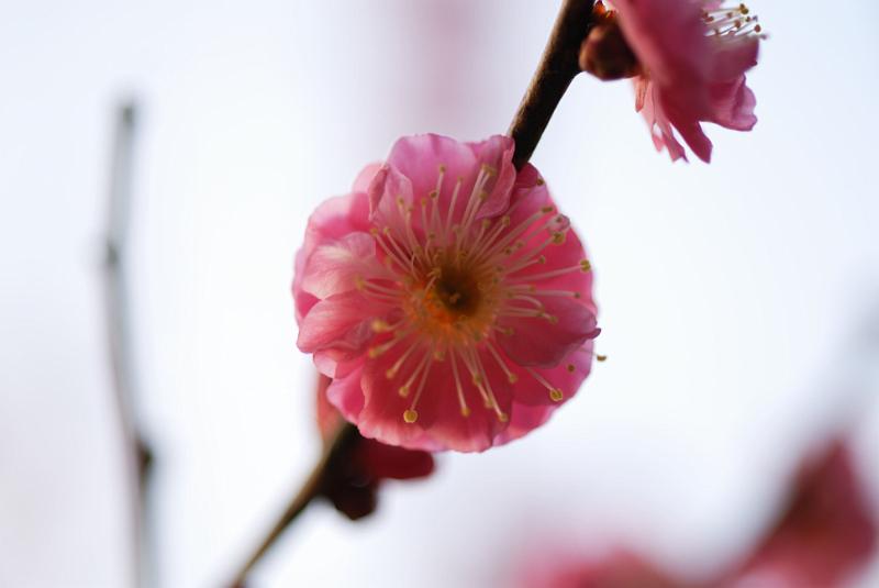 DSC_0711.jpg