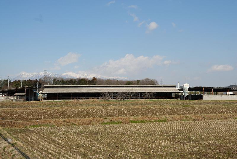 DSC_1083.jpg