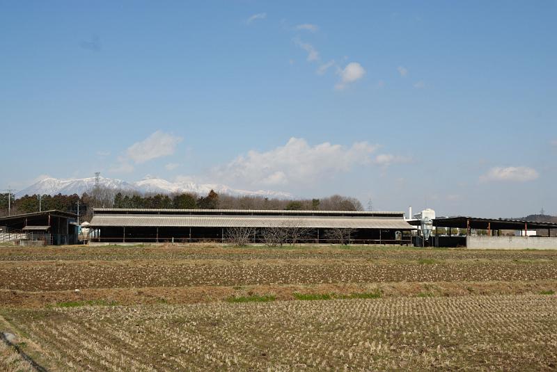 DSC_1084.jpg
