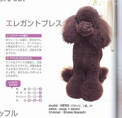 scan0002