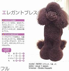 モデルネロ
