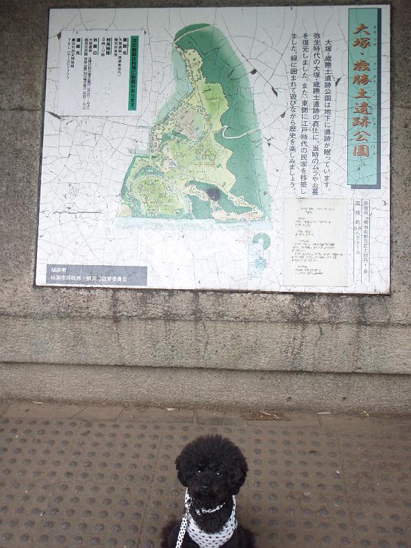 P5301201.JPG