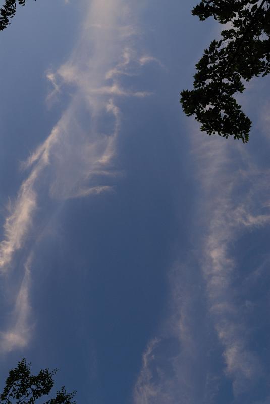 DSC_1404.jpg