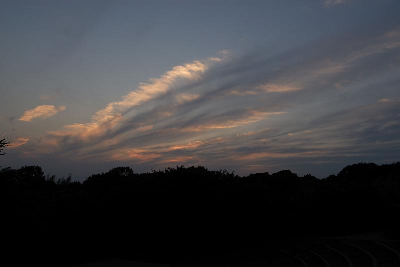 DSC_1407.jpg