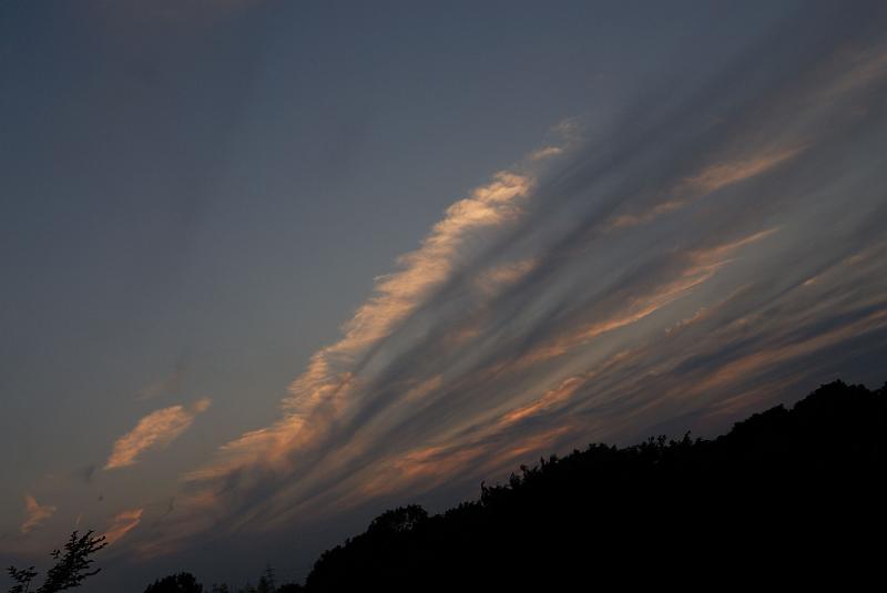 DSC_1409.jpg
