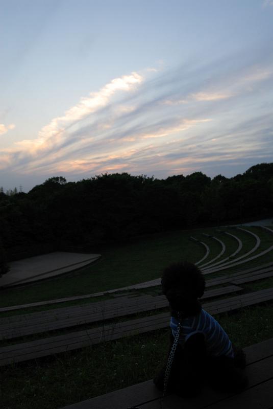 DSC_1410.jpg