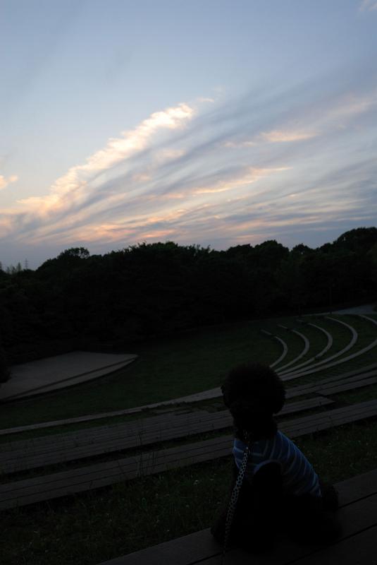 DSC_1411.jpg