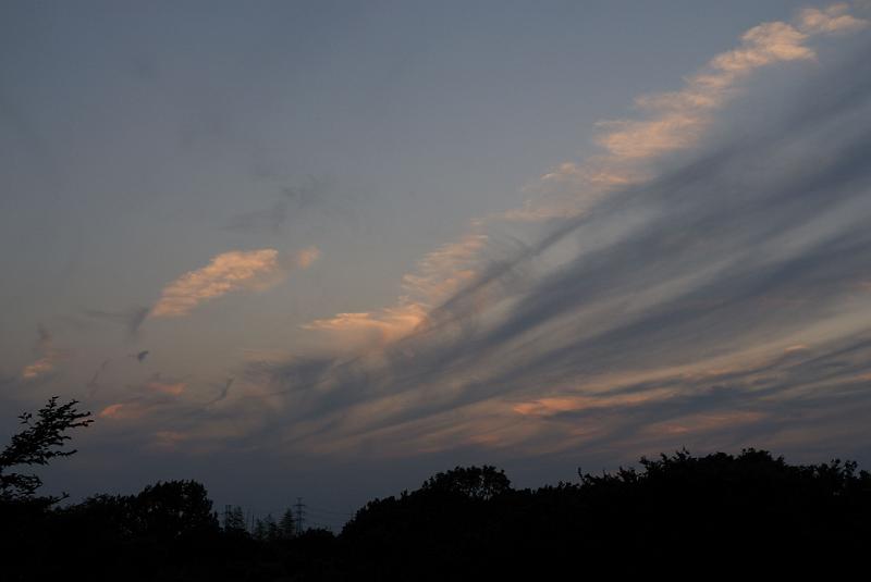 DSC_1417.jpg