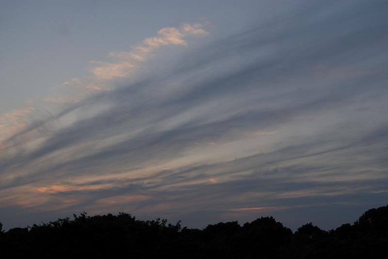 DSC_1418.jpg