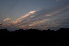 DSC_1407
