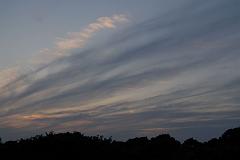 綺麗な雲
