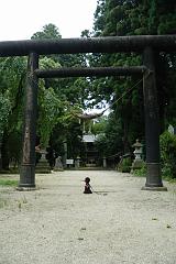 ネロと神社入り口