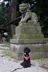 ネロと狛犬